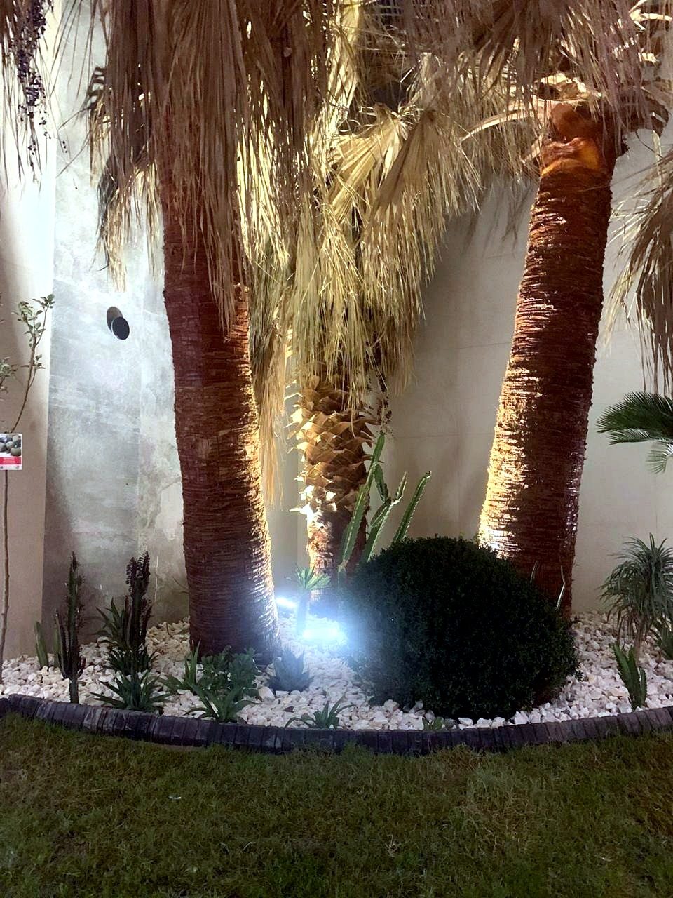 فتنك صغير خارجي للحدايق والجدران 6W · 15° · IP65 — 4