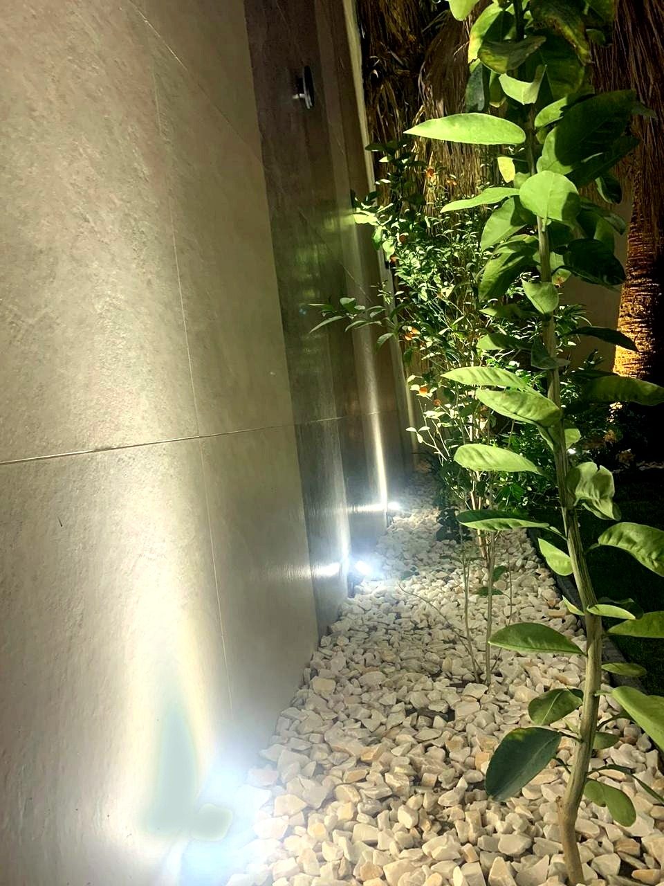 فتنك صغير خارجي للحدايق والجدران 6W · 15° · IP65 — 6